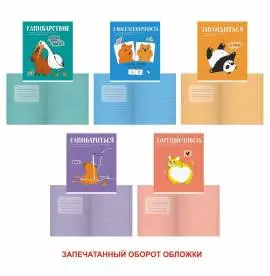 Тетрадь А5 048кл скреп 