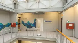 Дошкольное образование в детском центре 